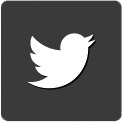 Twitter Social Icon